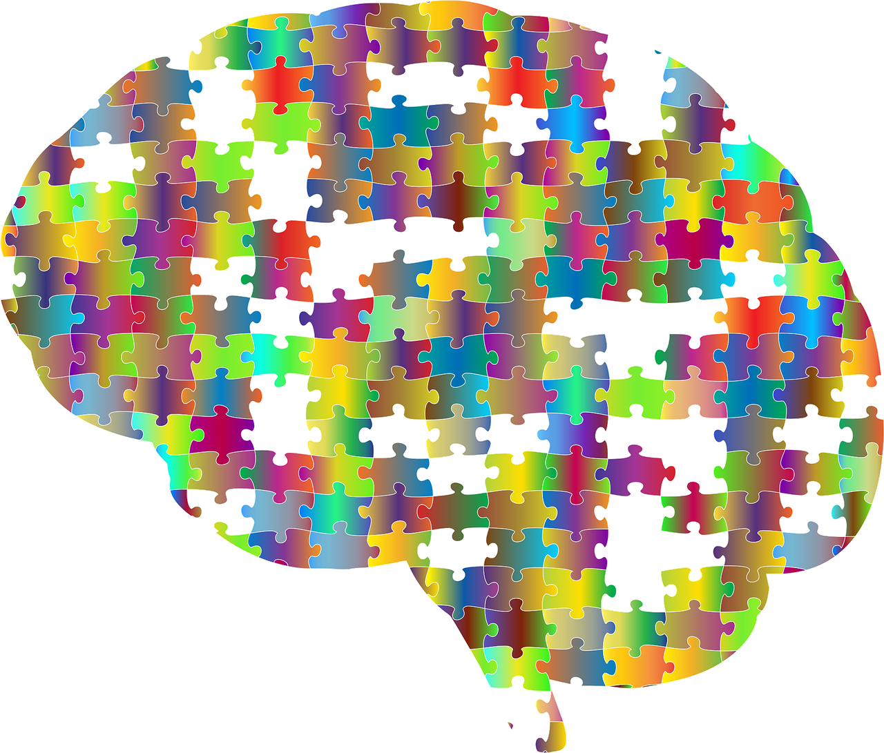 Brain Puzzle
